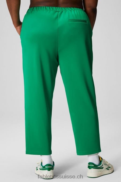 femmes pantalon fuselé en tricot B0B6R35 vert gazon/rayures multiples Fabletics