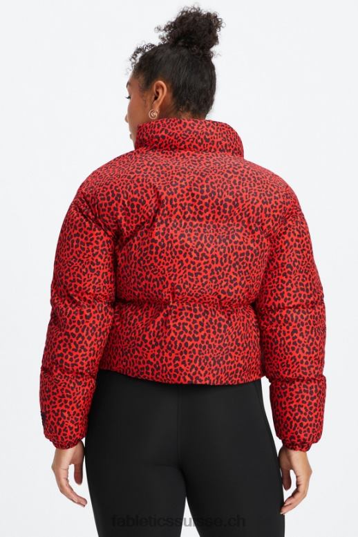 femmes doudoune courte Wander B0B6R2773 logo léopard classique/noir cerise électrique Fabletics