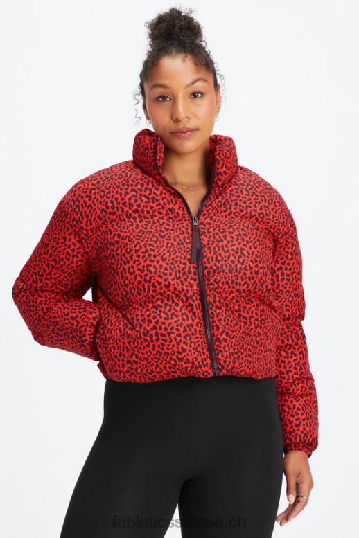 femmes doudoune courte Wander B0B6R2773 logo léopard classique/noir cerise électrique Fabletics
