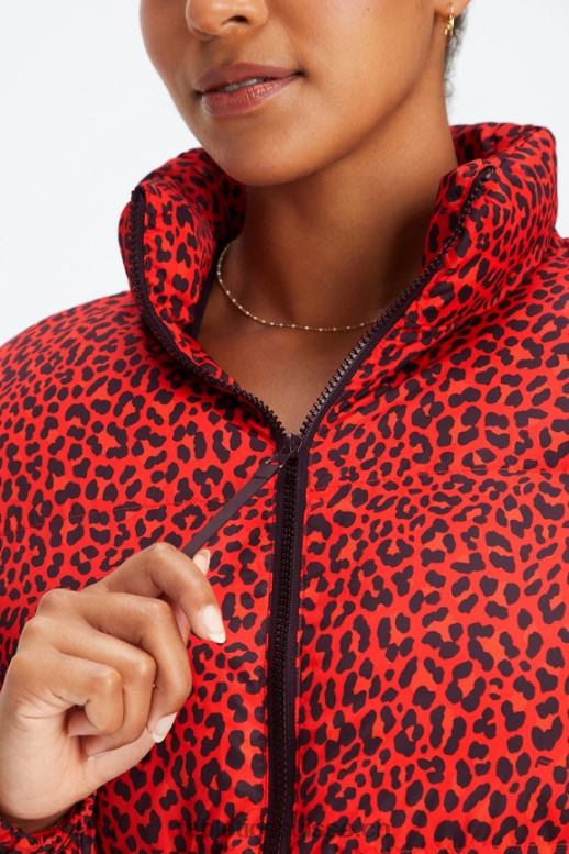 femmes doudoune courte Wander B0B6R2773 logo léopard classique/noir cerise électrique Fabletics