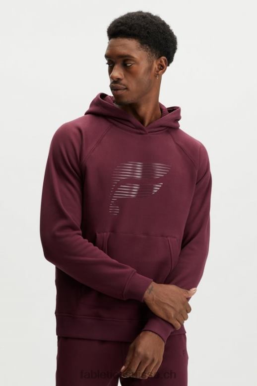 Hommes le sweat à capuche d'après-match B0B6R3725 logo rapide brillant merlot Fabletics